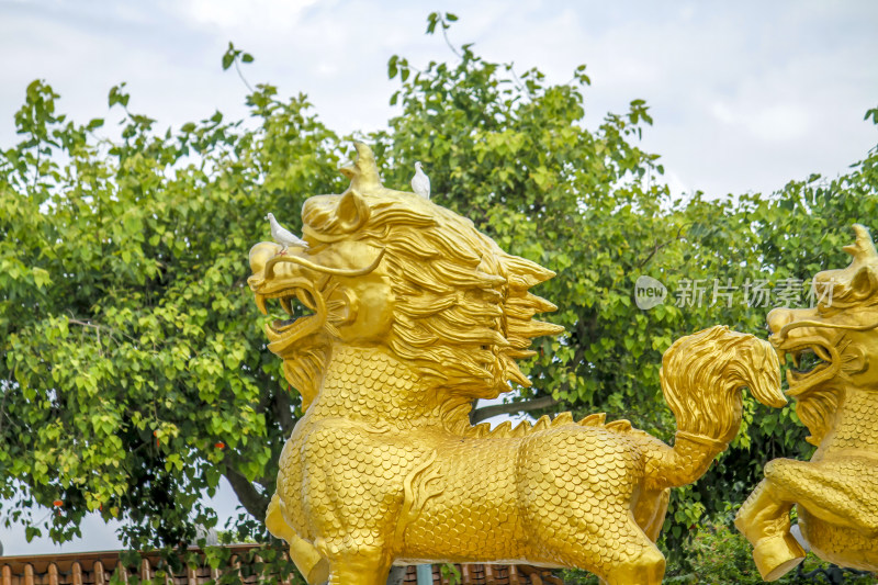 佛教寺庙古建筑前的金色麒麟雕塑