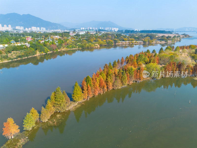 福州多彩树林沿水域分布的自然风景航拍