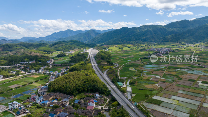 航拍乡村绿色稻田 乡村振兴