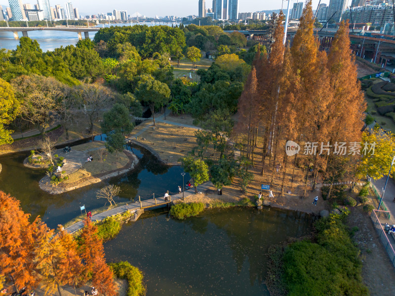 福州城市中色彩斑斓的树林全景