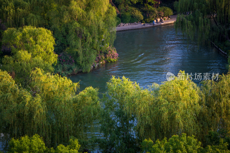 山东济南大明湖景区春日风光