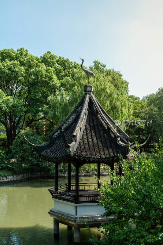 上海松江醉白池公园风景