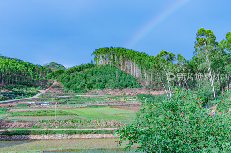 广西南宁乡村田野绿色山林与天空彩虹风景