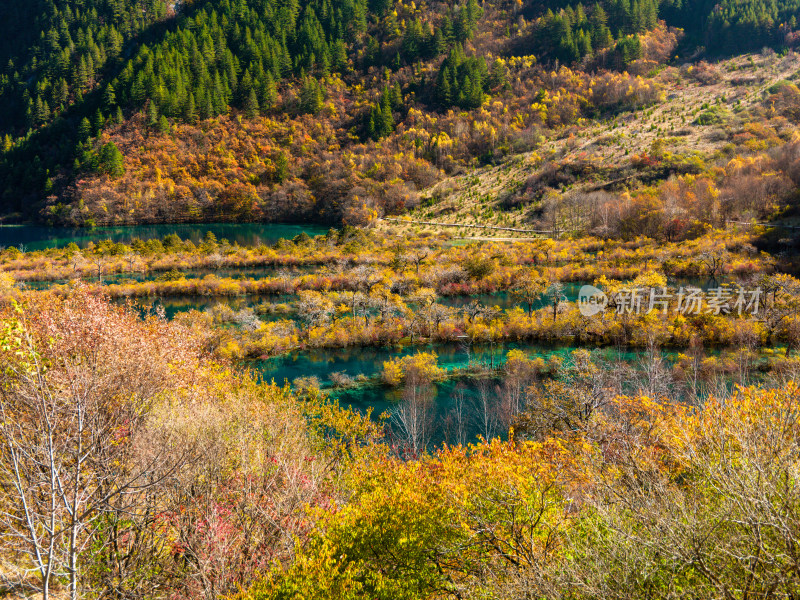 九寨沟秋景