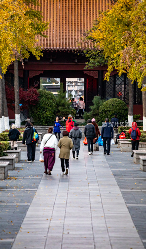 南京明故宫遗址公园古建筑屋檐与秋日银杏树