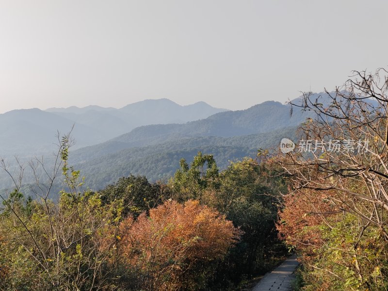 山间小路旁树木多彩的山景