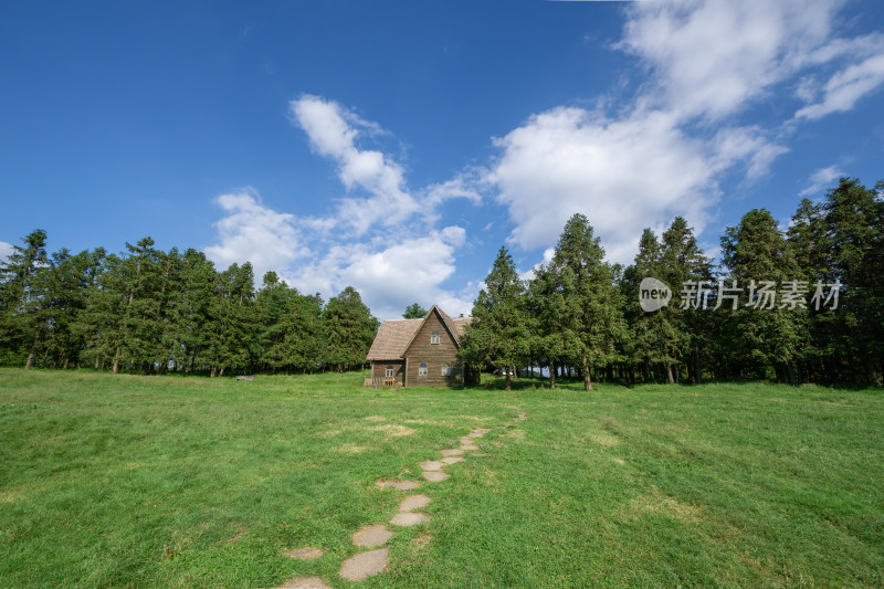 森林小屋的宁静午后