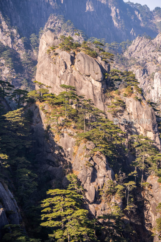 安徽黄山风景区自然风光