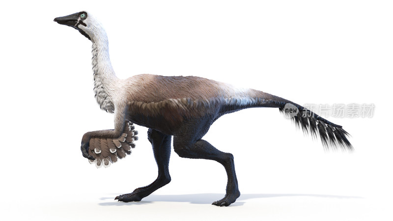 恐龙 侏罗纪