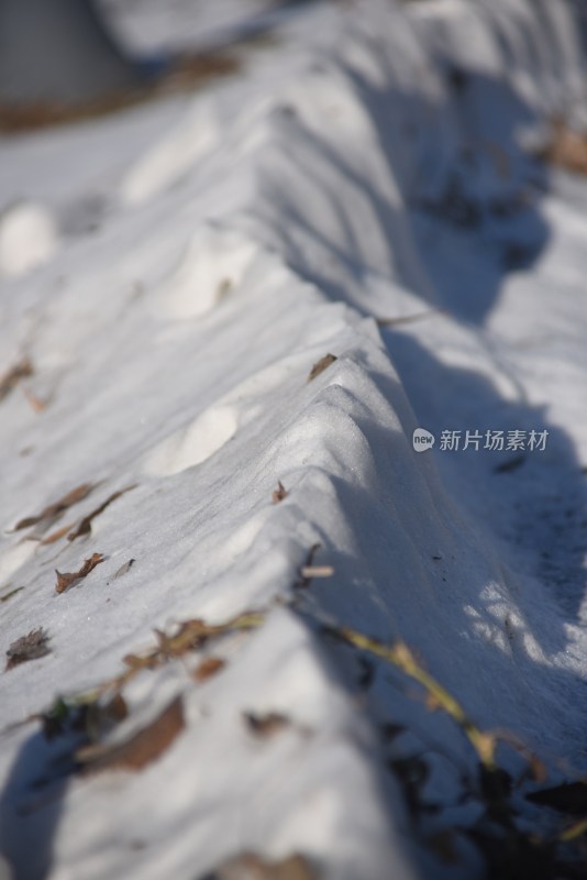 积雪与散落的枯叶