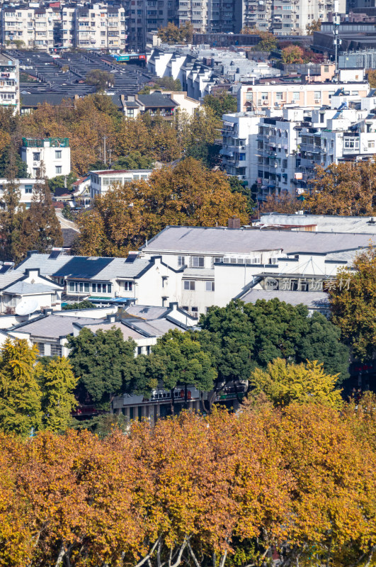 南京城市建筑与自然景观融合全景