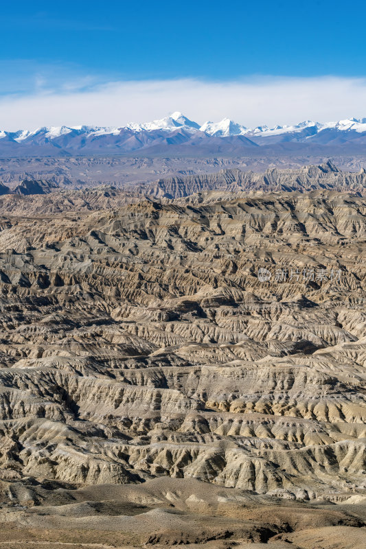 西藏阿里札达土林高原荒凉戈壁与雪山远景