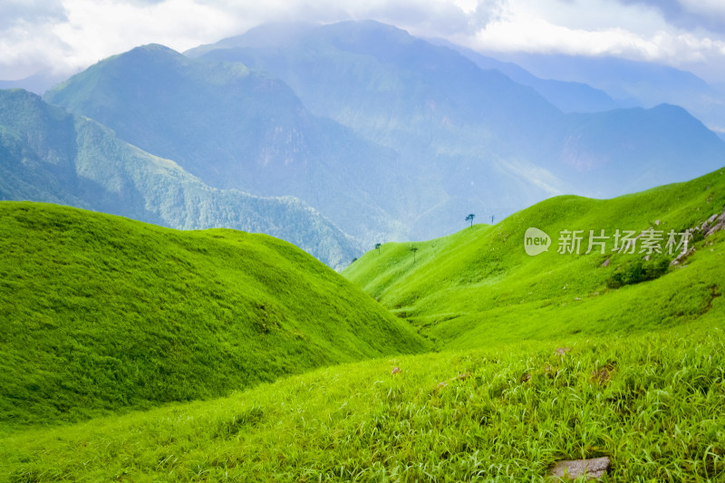 夏天江西武功山的高山草甸