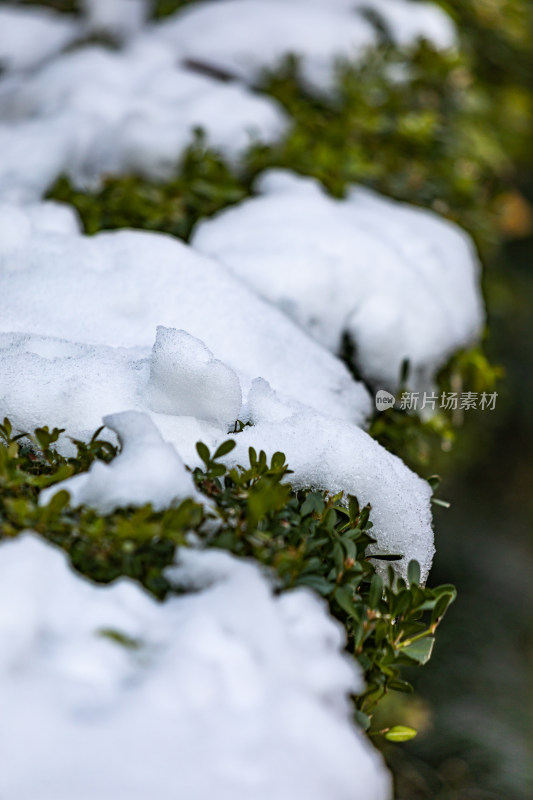 南京明孝陵石象路神道雪景