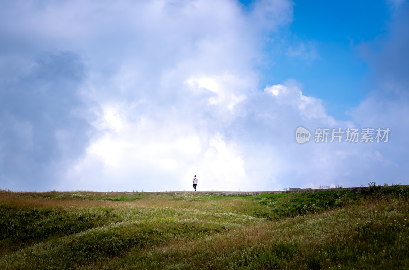 贵州阿西里西韭菜坪韭菜花高原草甸