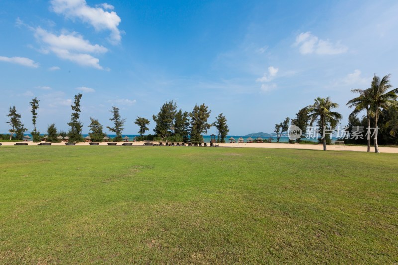 海南三亚海滩草地