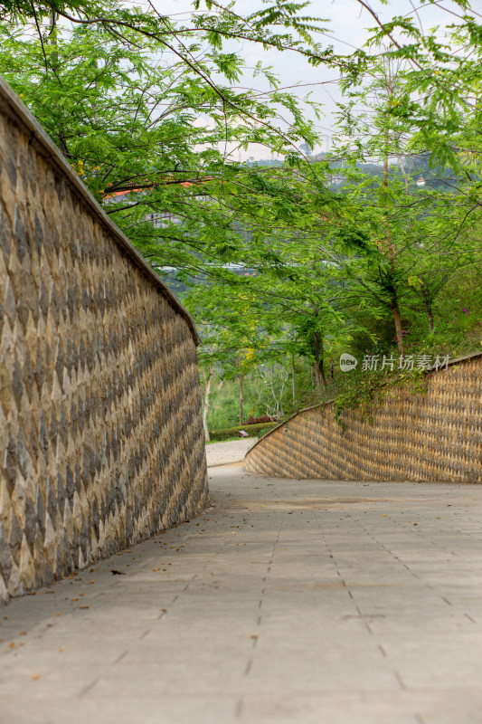 石墙小路绿树