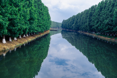 昆明滇池海洪湿地公园风光