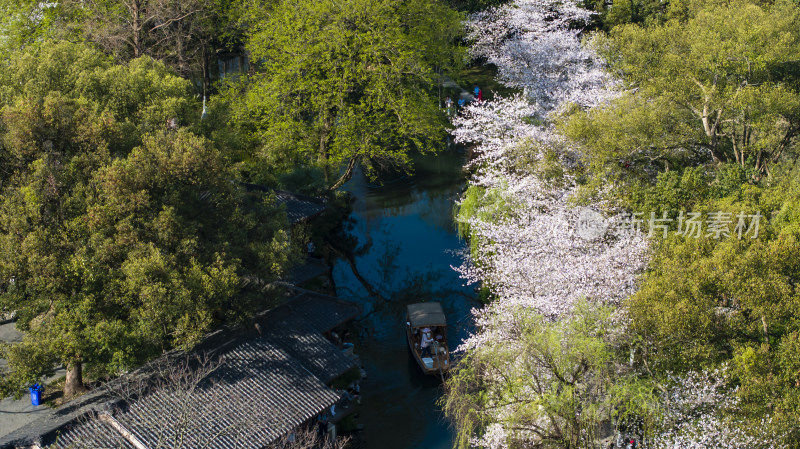 杭州西湖古风建筑与樱花树下的小船