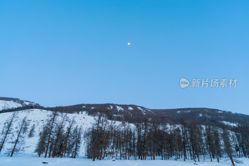 新疆喀纳斯雪景晨雾雪山森林雾凇