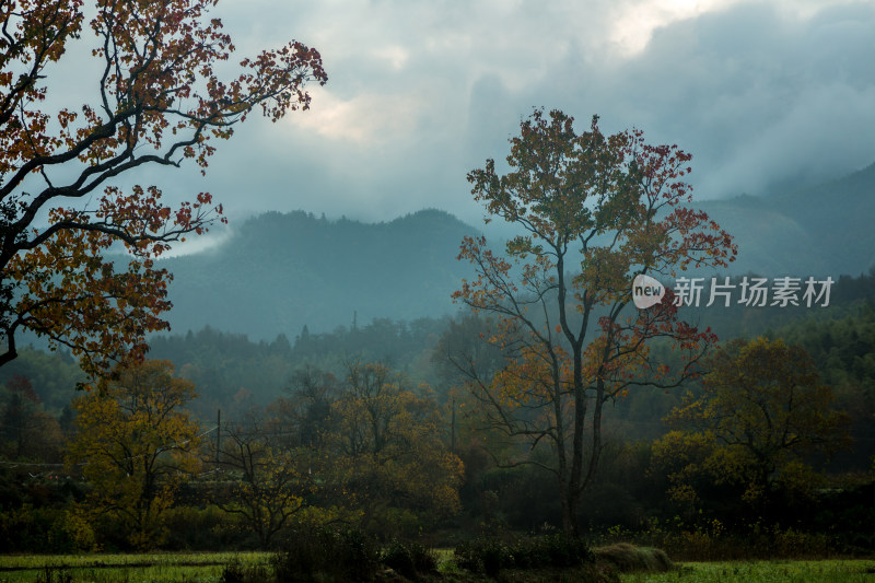 塔川的秋天