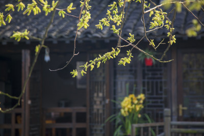 江南水乡春季古镇风光素材