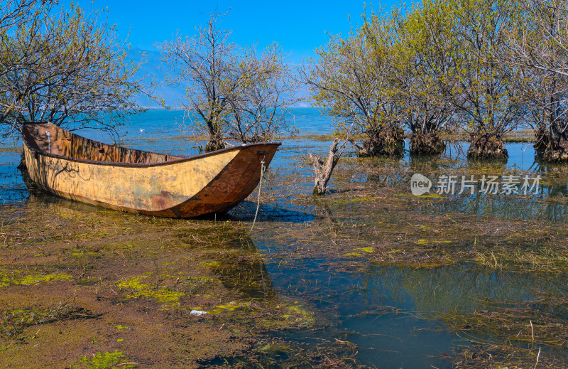 云南大理洱海湖边树林秋景与木舟渔船