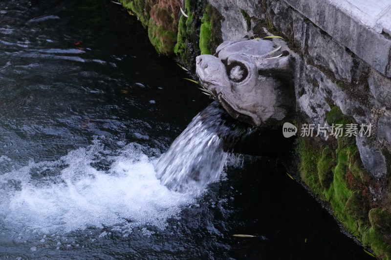 黑虎泉石雕兽头流水景象