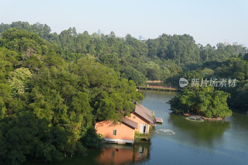 广州长隆天鹅湖