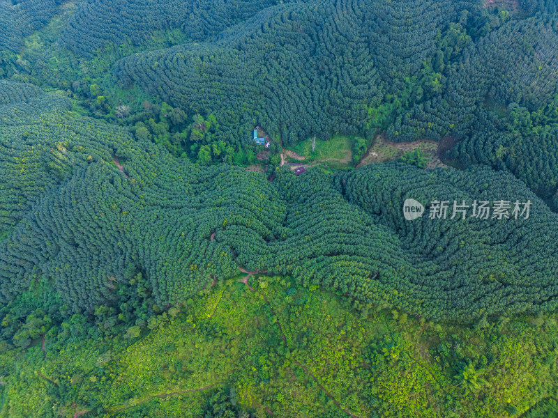 航拍绿意盎然的广袤山林自然景观