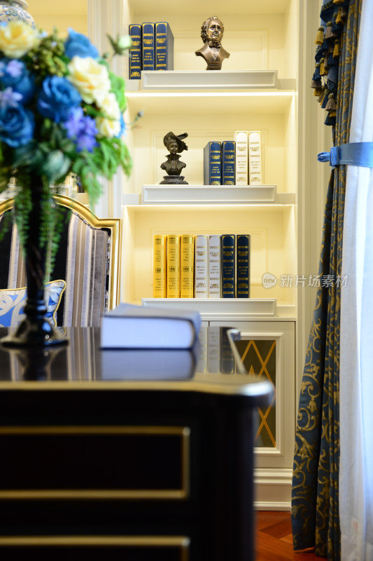 室内书房书架装饰场景