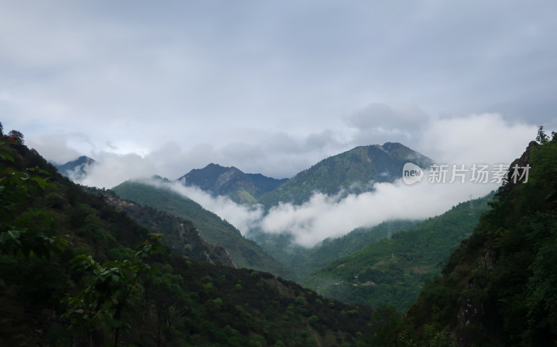 云南迪庆香格里拉云雾弥漫的山峰