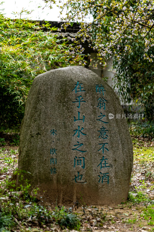 浙江绍兴会稽山大香林兜率天景点景观