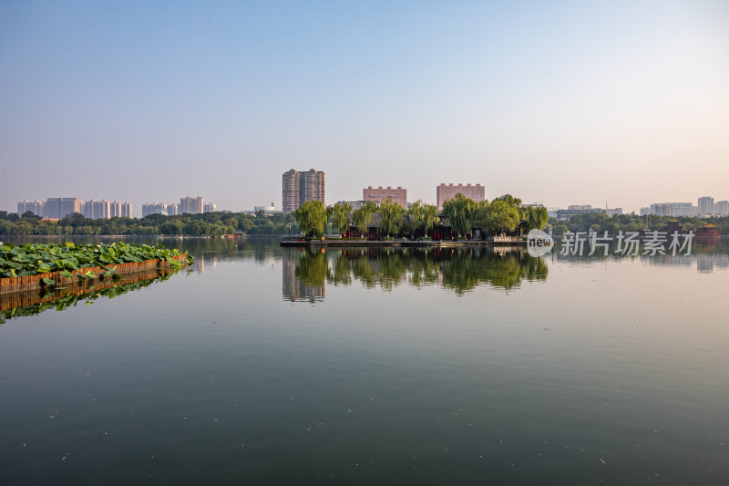 山东济南大明湖风景区自然景观与城市风光