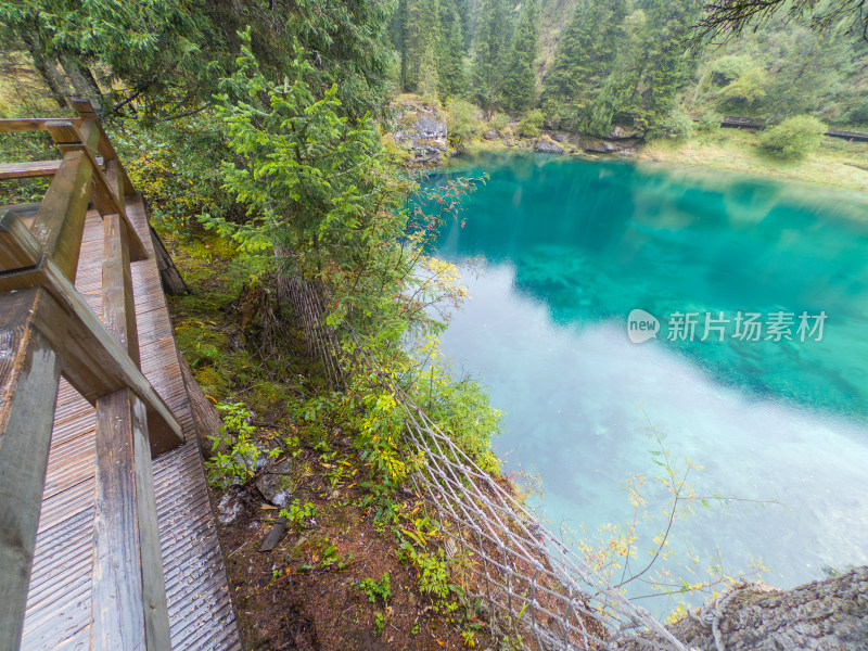 静谧的森林与湖景