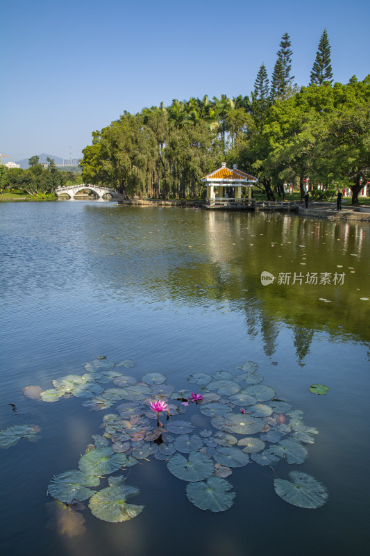 深圳罗湖公园景观