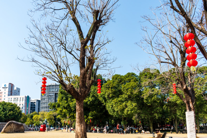 福州春天绿意盎然的冶山春秋公园景色