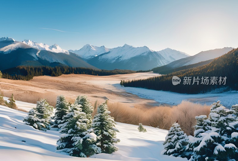 雪山高原草原森林风景