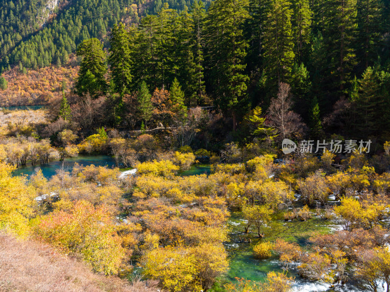 九寨沟秋景