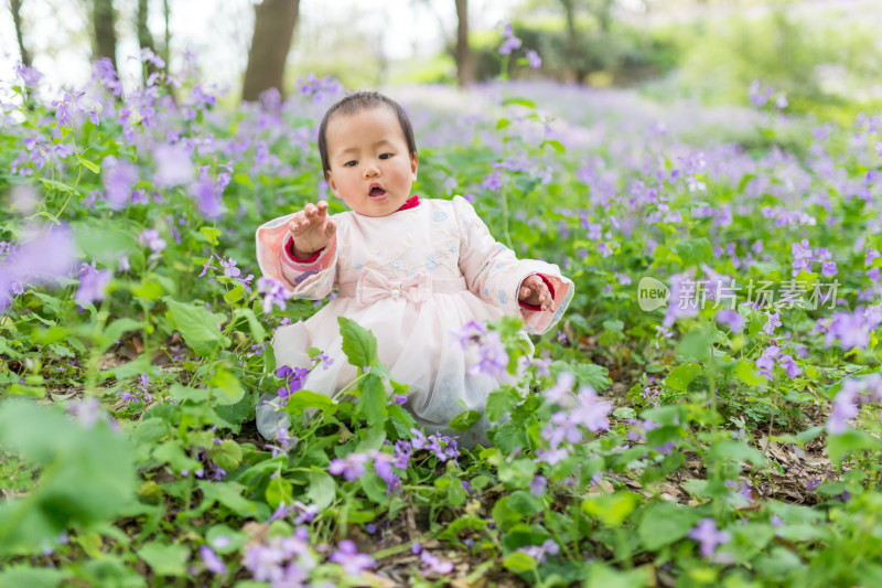 二月兰花丛里的可爱小宝宝