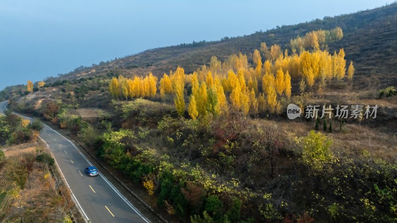 秋天乡村自然风景公路交通