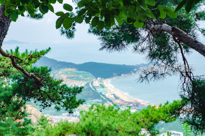 青岛崂山仰口，透过树木看到远处的海滩海岛