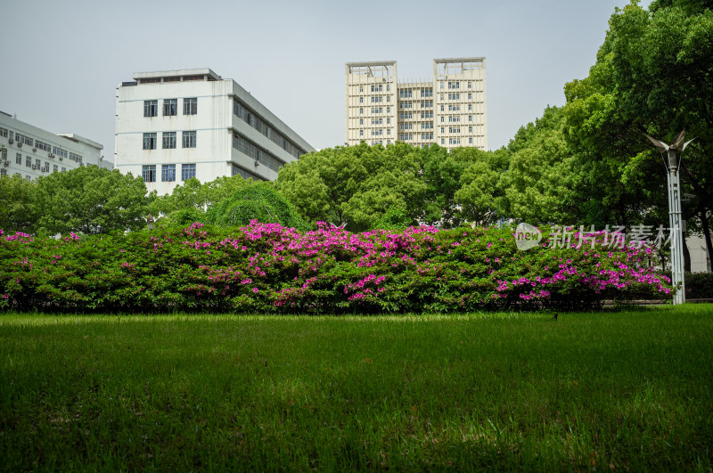 绿树鲜花旁的白色建筑物