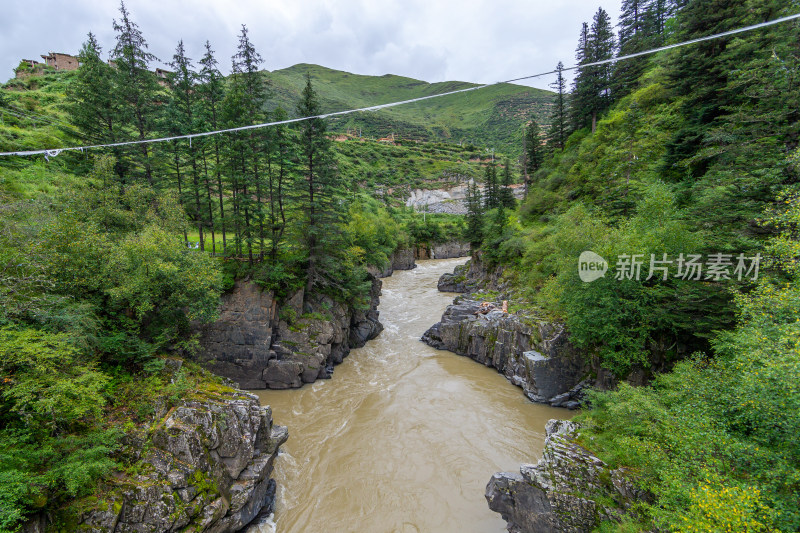 森林中树木中的峡谷河流