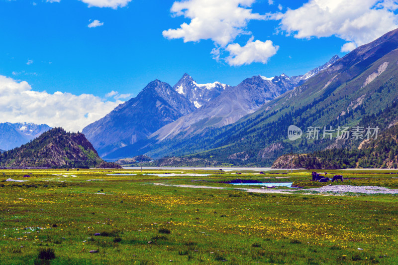 山湿地风景