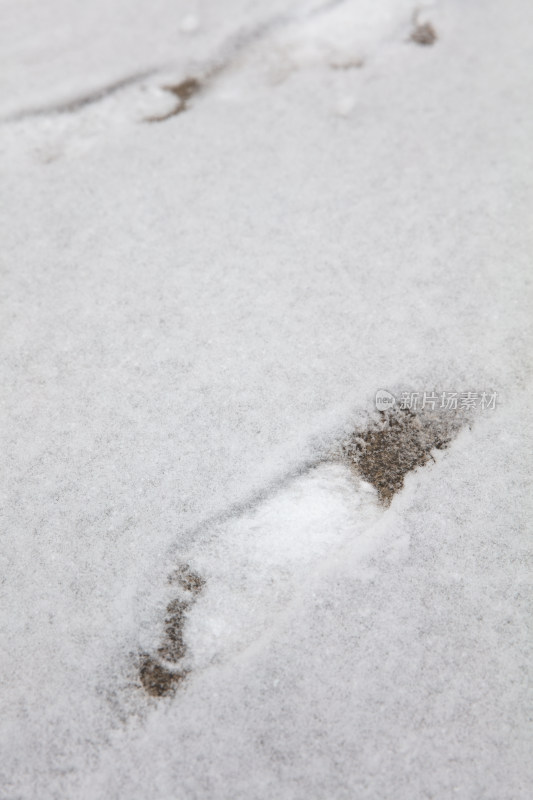 地面上一层薄雪和几个脚印