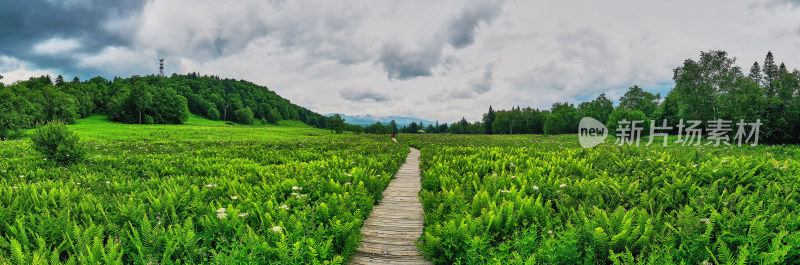 长白山高山花园王池风光