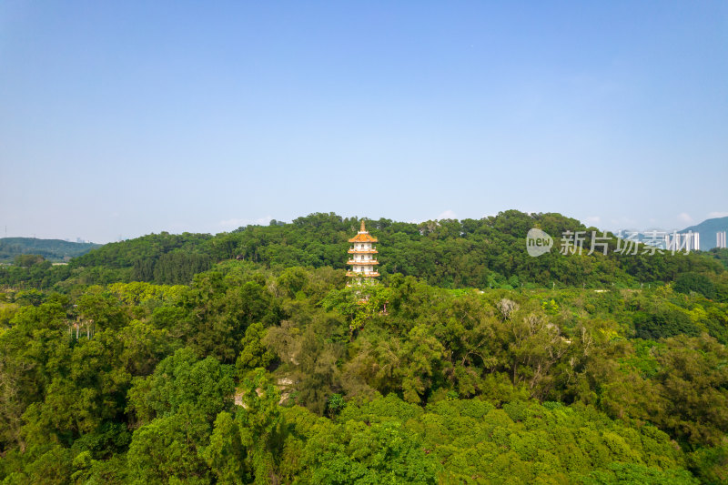 深圳环西丽湖碧道