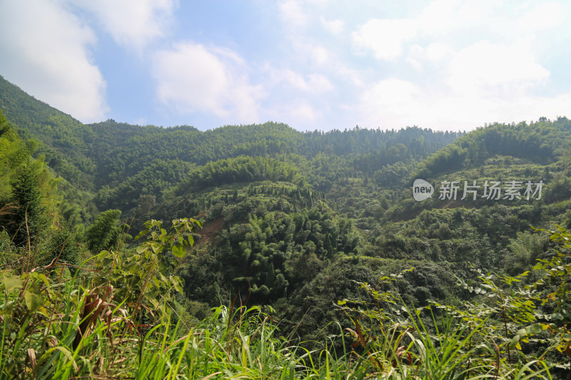 山脉 山坡 森林 蓝天 梯田