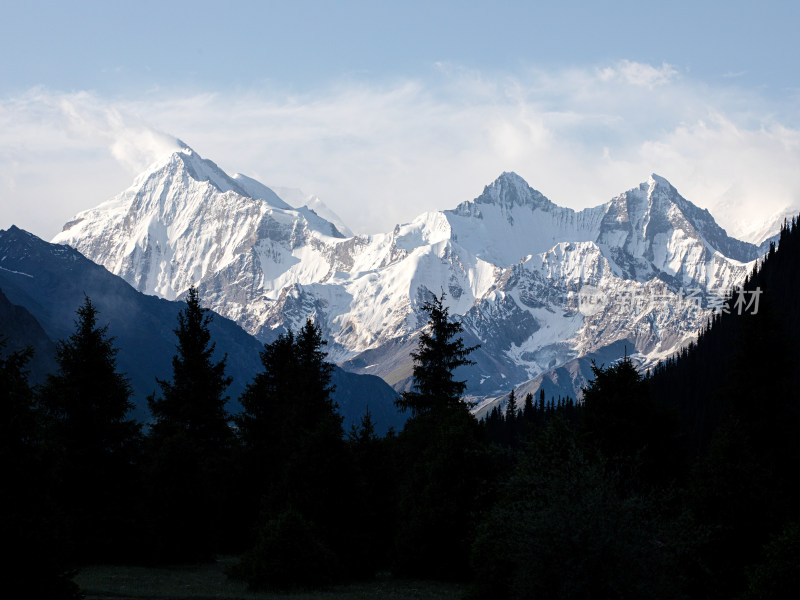 新疆伊犁夏塔，森林里的雪山自然风景